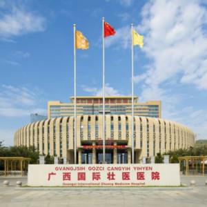 广西国内外壮医医院