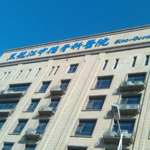 黑龙江中德骨科医院