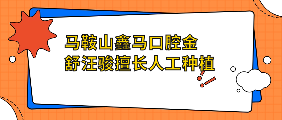 马鞍山鑫马口腔金舒汪骏擅长人工种植牙，即刻全口种植好评多